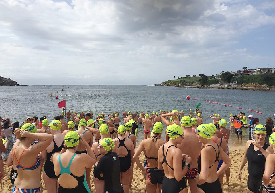 2017 Malabar Magic many swimmers in caps looking into the ocean